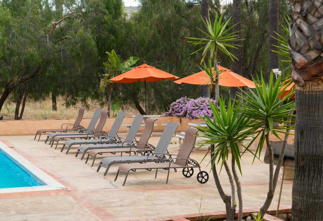 Horsepower Ranch Hotel Ensenada Luaran gambar